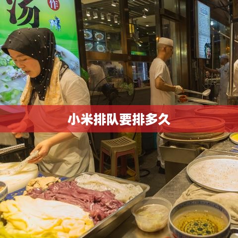 小米排队要排多久  第1张