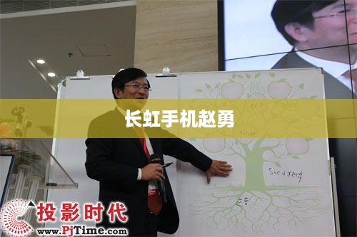 长虹手机赵勇