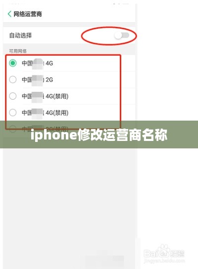iphone修改运营商名称