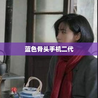 蓝色骨头手机二代