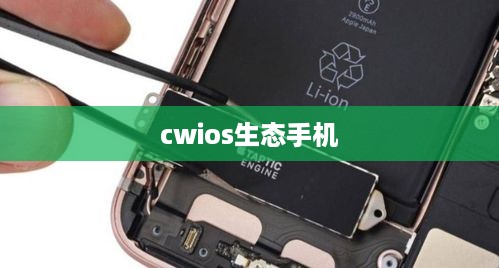 cwios生态手机  第1张