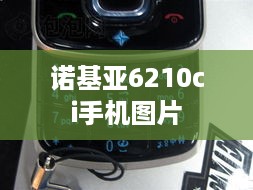 诺基亚6210ci手机图片