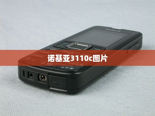 诺基亚3110c图片