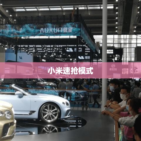 小米速抢模式