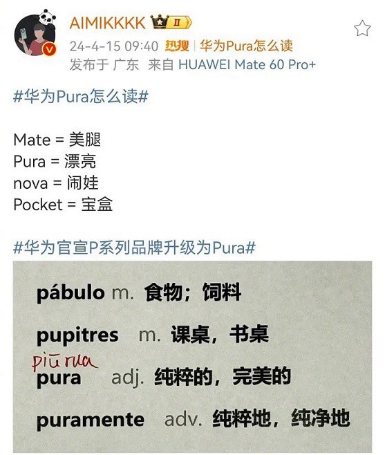 Pura哪个国家的语言，华为P系列为什么改名Pura？  第3张