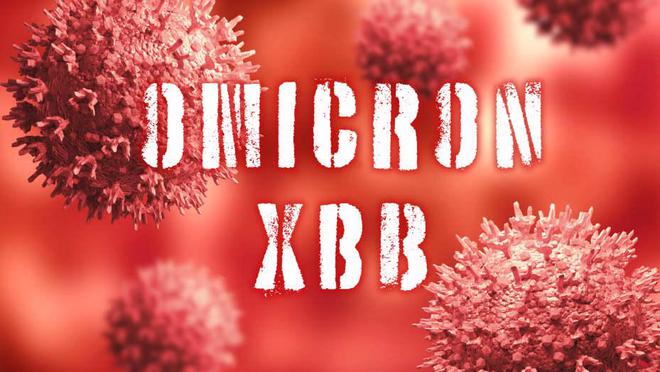 XBB.1.5毒株是什么病毒？有必要囤蒙脱石散吗？  第1张