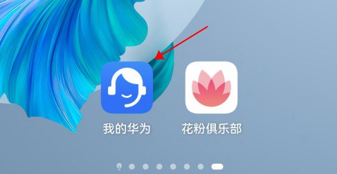 HarmonyOS 2.0怎么升级？华为鸿蒙OS2.0支持机型与升级方法  第6张