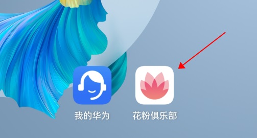 HarmonyOS 2.0怎么升级？华为鸿蒙OS2.0支持机型与升级方法  第9张