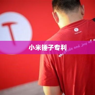 小米锤子专利