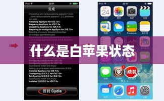 什么是白苹果状态