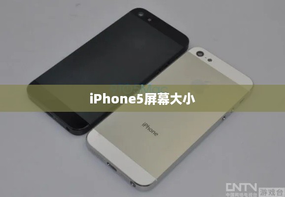iPhone5屏幕大小