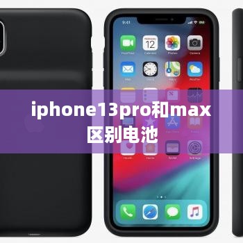 iphone13pro和max区别电池