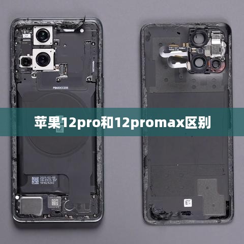 苹果12pro和12promax区别