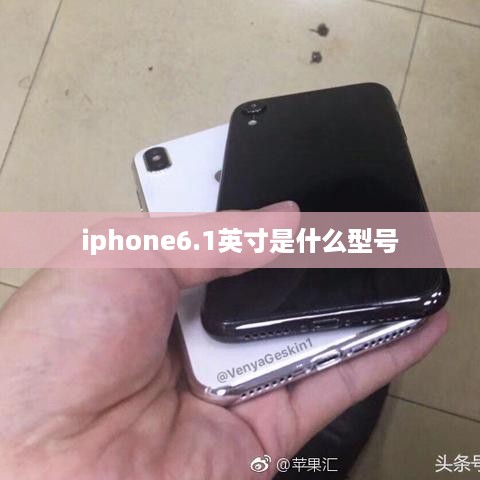 iphone6.1英寸是什么型号