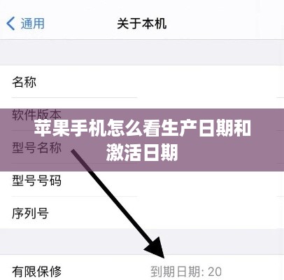 苹果手机怎么看生产日期和激活日期