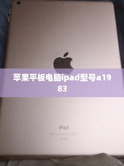 苹果平板电脑ipad型号a1983  第1张