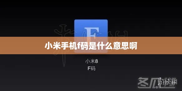 小米手机f码是什么意思啊