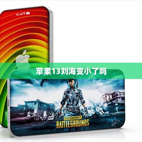 苹果13刘海变小了吗