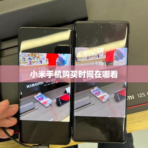 小米手机购买时间在哪看  第1张