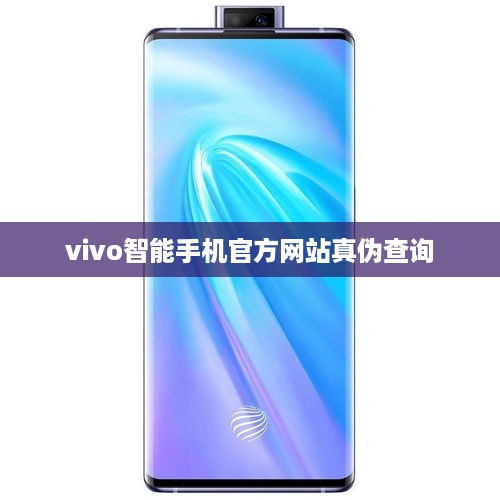 vivo智能手机官方网站真伪查询