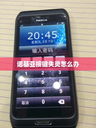 诺基亚按键失灵怎么办  第1张