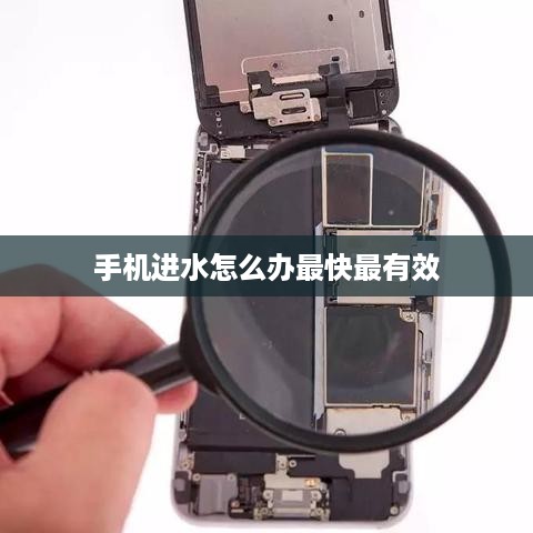 手机进水怎么办最快最有效