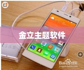 金立主题软件