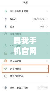 真我手机官网入口