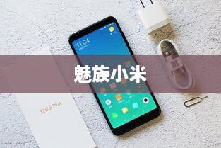 魅族小米