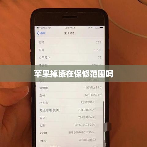 苹果掉漆在保修范围吗