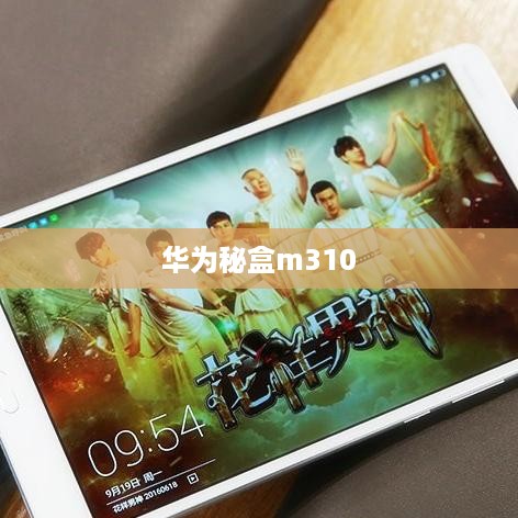 华为秘盒m310