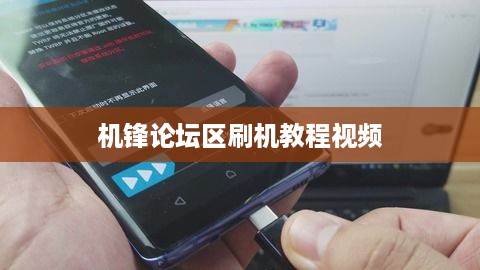 机锋论坛区刷机教程视频  第1张