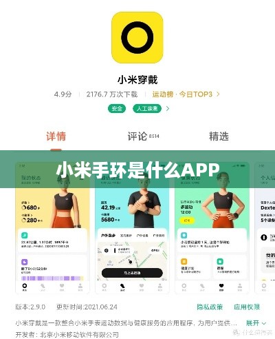 小米手环是什么APP