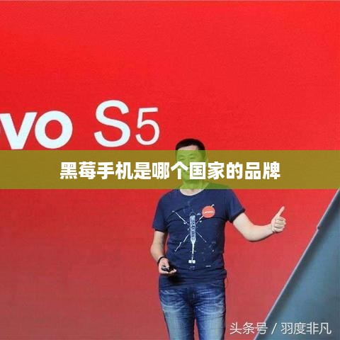 黑莓手机是哪个国家的品牌