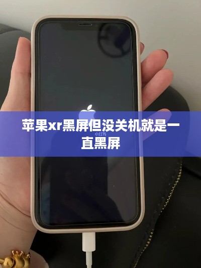 苹果xr黑屏但没关机就是一直黑屏