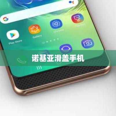 诺基亚滑盖手机  第1张
