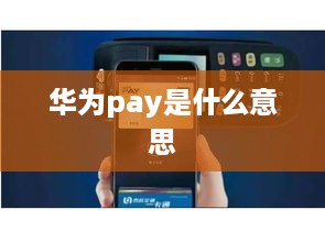 华为pay是什么意思  第1张