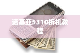 诺基亚5310拆机教程