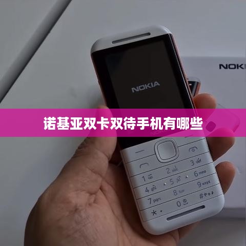 诺基亚双卡双待手机有哪些
