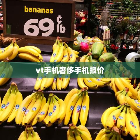 vt手机奢侈手机报价