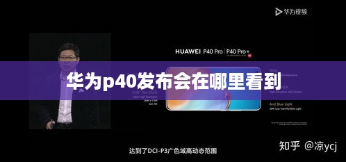 华为p40发布会在哪里看到