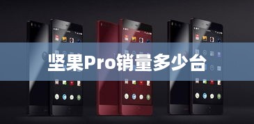 坚果Pro销量多少台