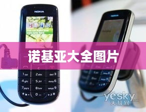 诺基亚大全图片