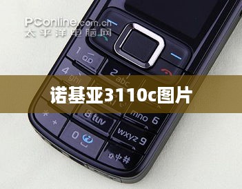 诺基亚3110c图片