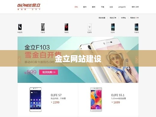 金立网站建设