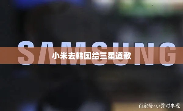 小米去韩国给三星道歉