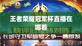 王者荣耀冠军杯直播在哪看  第1张