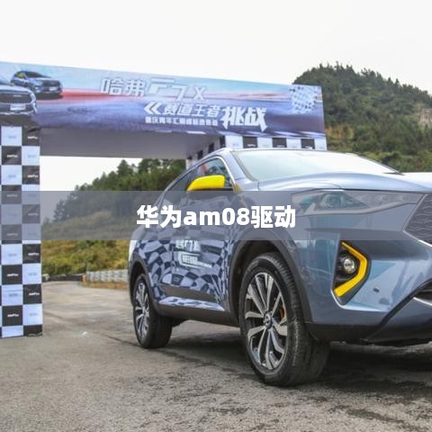华为am08驱动  第1张