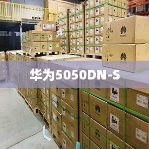 华为5050DN-S