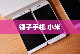 锤子手机 小米